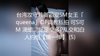 台湾攻守兼备四爱SM女王「queena」OF调教私拍 可S可M 滴蜡浣肠足交多P乱交和白人约炮【第一弹】 (5)