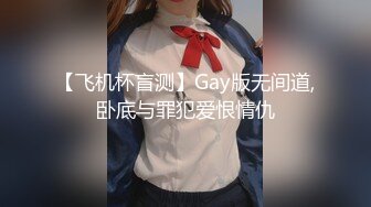 【飞机杯盲测】Gay版无间道,卧底与罪犯爱恨情仇