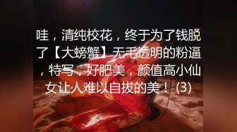 哇，清纯校花，终于为了钱脱了【大螃蟹】无毛透明的粉逼，特写，好肥美，颜值高小仙女让人难以自拔的美！ (3)