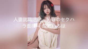 人妻就職活動～恥辱のセクハラ面接～ 成宮いろは