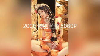 2008 特别回顾 1080P