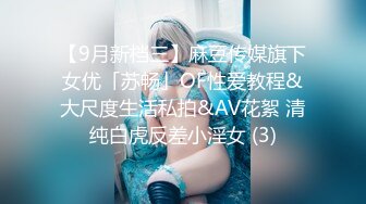 【9月新档三】麻豆传媒旗下女优「苏畅」OF性爱教程&大尺度生活私拍&AV花絮 清纯白虎反差小淫女 (3)